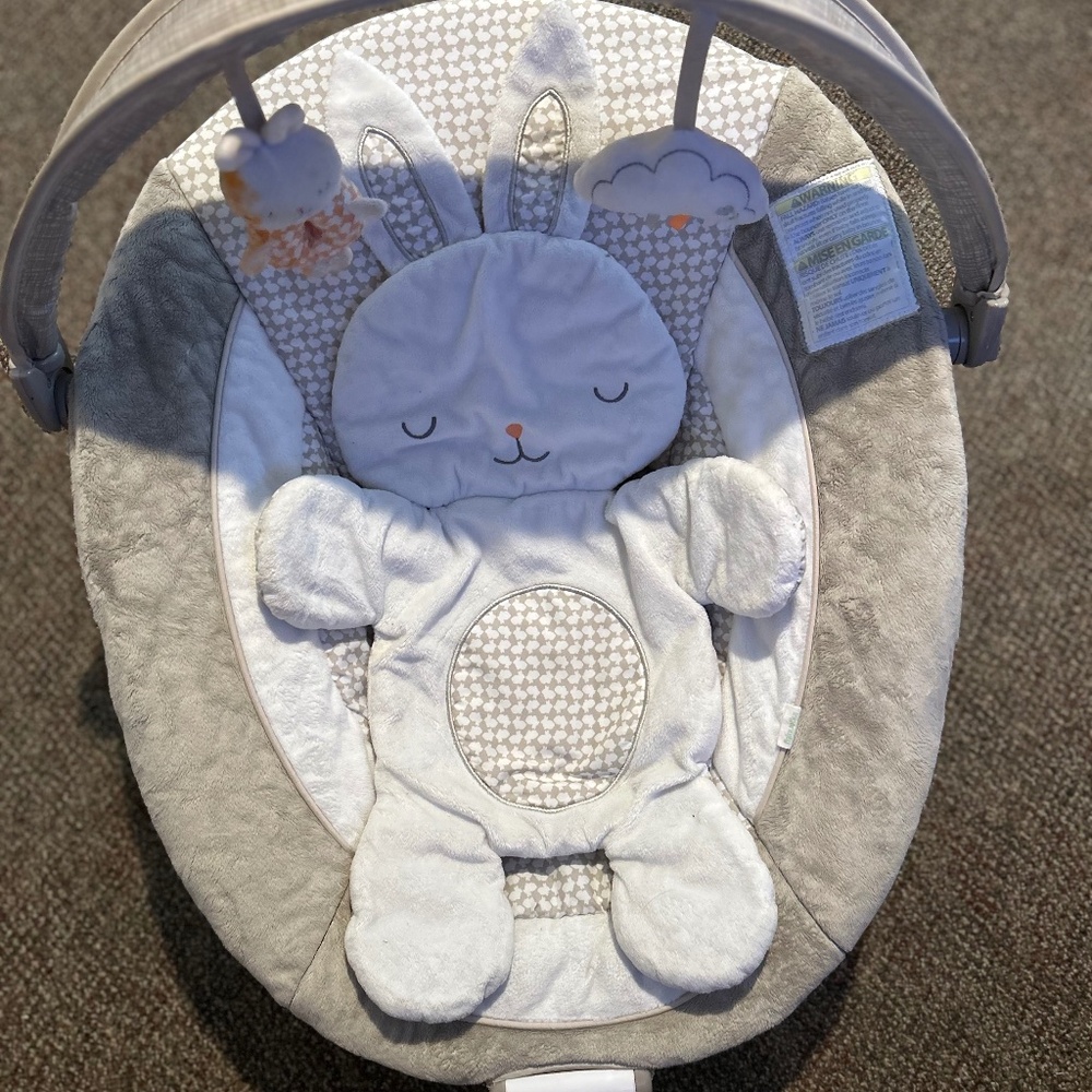 2 Ingenuity InLighten Baby bouncer